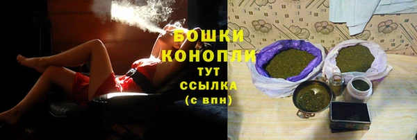 стаф Бронницы