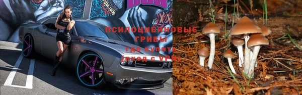 мдма Бородино