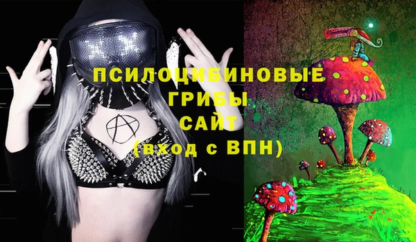 мдма Бородино